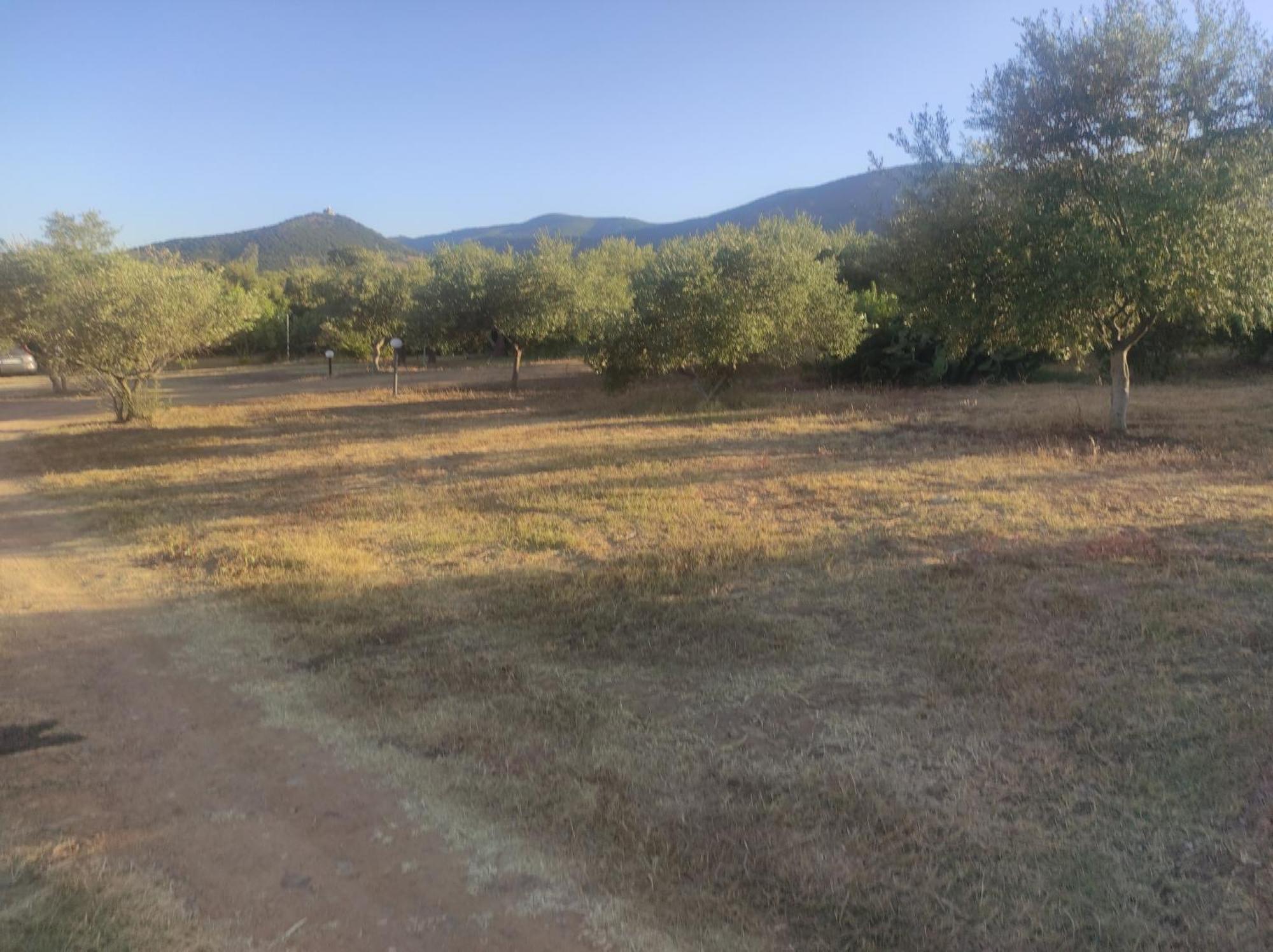 Sa Teria Village Tertenìa Εξωτερικό φωτογραφία