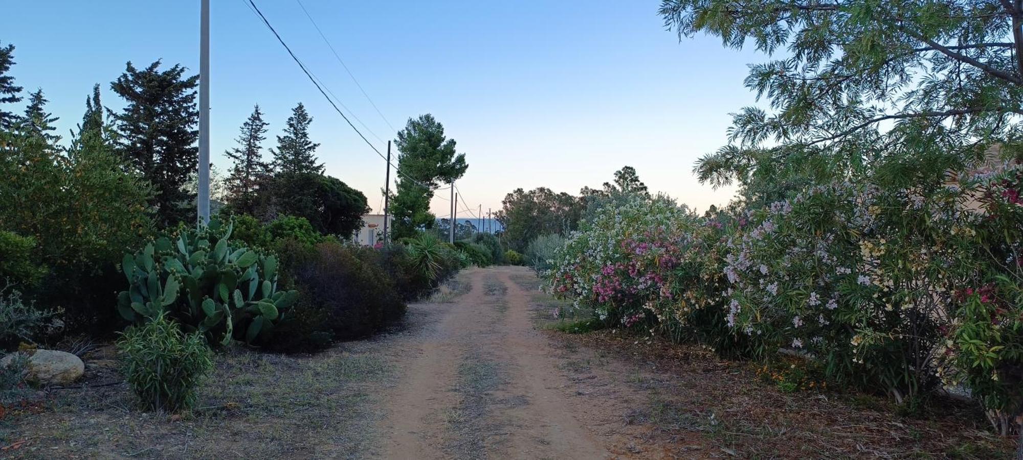 Sa Teria Village Tertenìa Εξωτερικό φωτογραφία