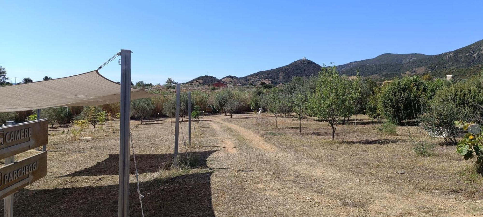 Sa Teria Village Tertenìa Εξωτερικό φωτογραφία