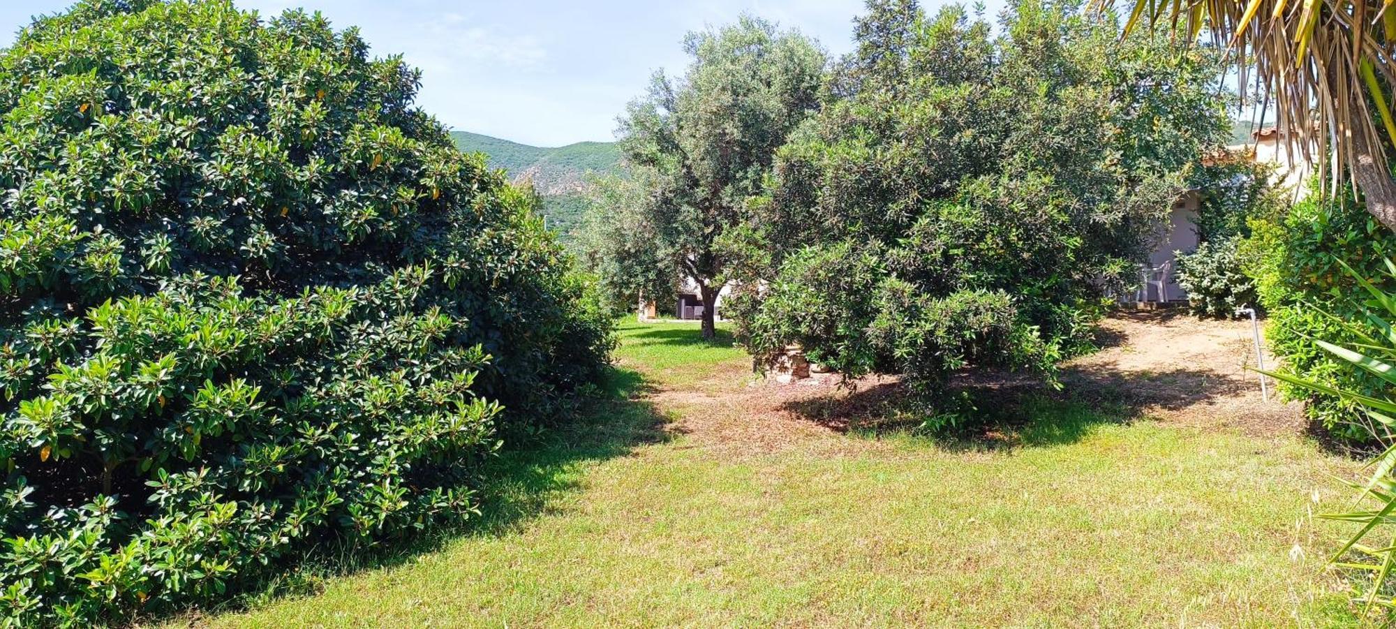 Sa Teria Village Tertenìa Εξωτερικό φωτογραφία